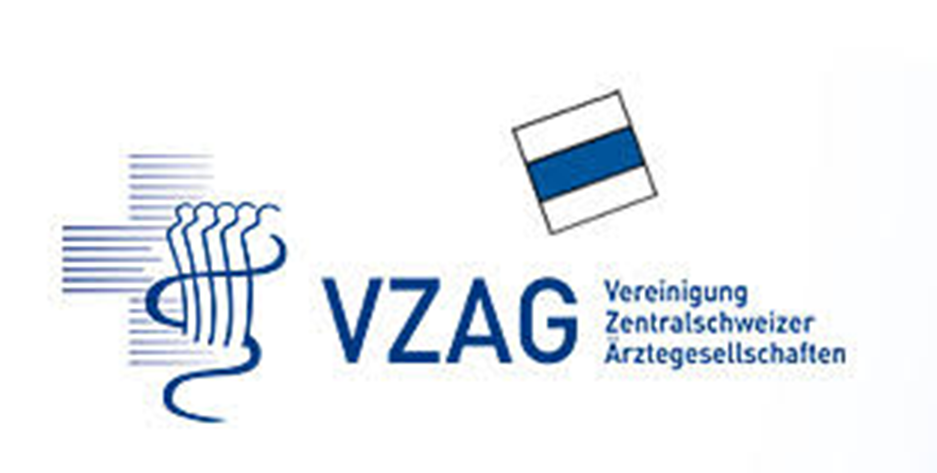 VZZAG Logo