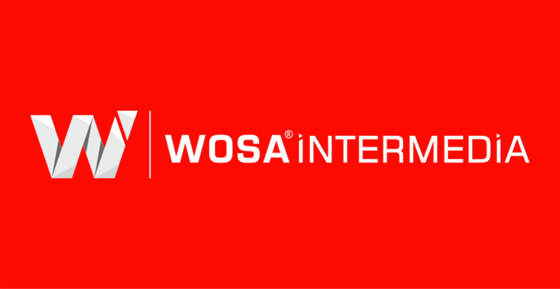 Wosa Intermedia Logo